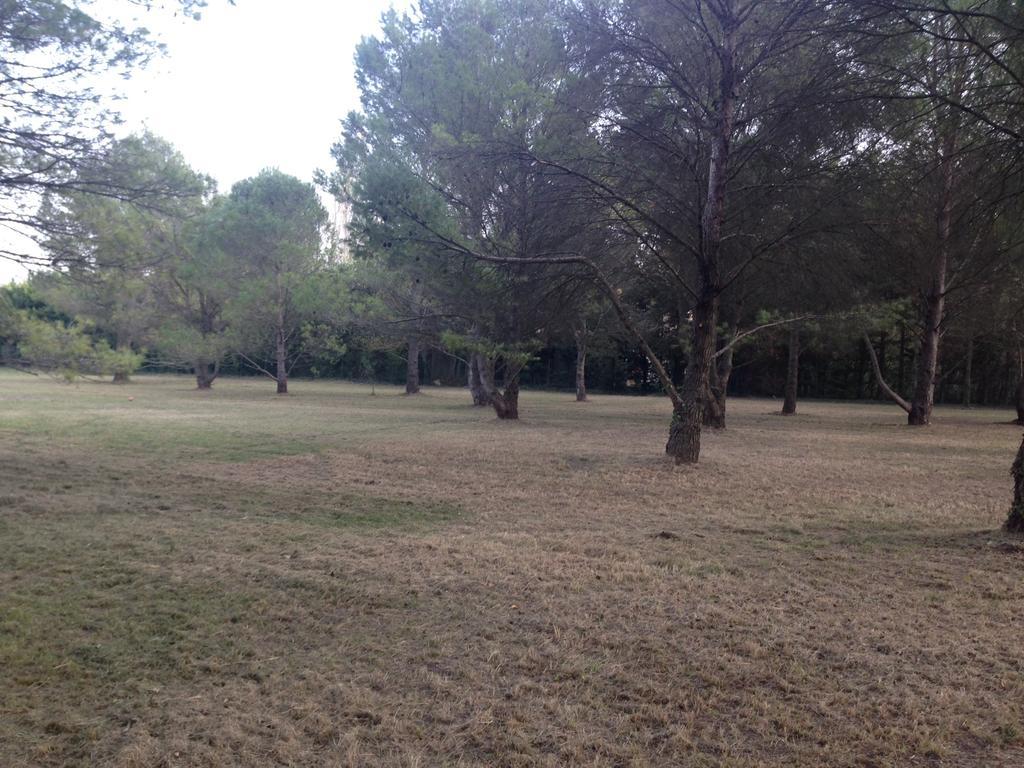 Le Mas De Trevouse Saint-Saturnin-les-Avignon Luaran gambar