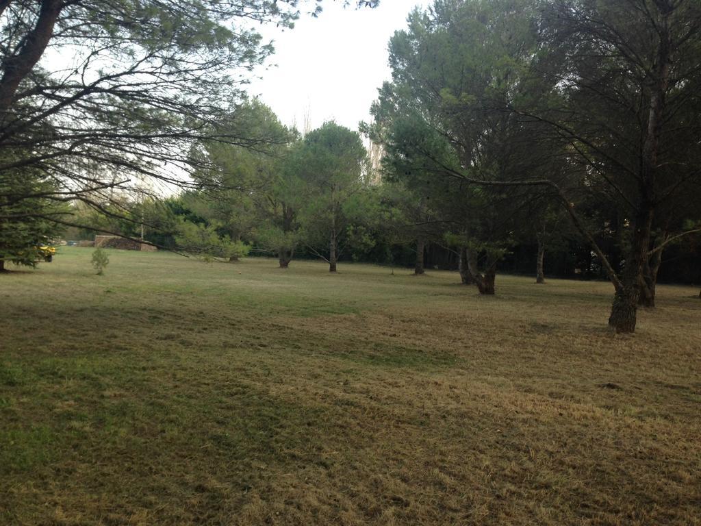 Le Mas De Trevouse Saint-Saturnin-les-Avignon Luaran gambar