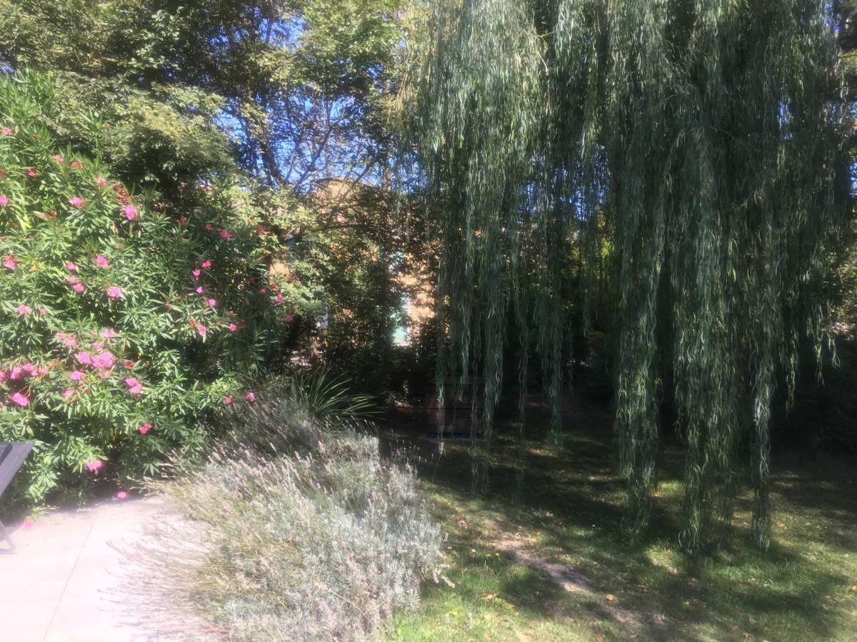 Le Mas De Trevouse Saint-Saturnin-les-Avignon Luaran gambar